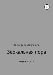 Зеркальная пора