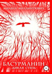 Басурманин. Дикая степь