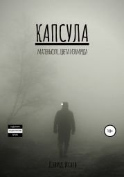 Капсула