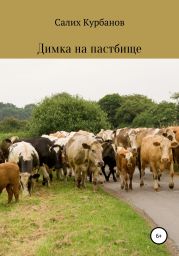 Димка на пастбище