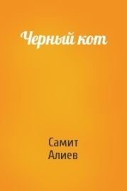 Черный кот