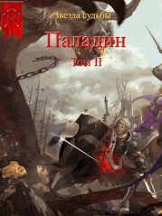 Паладин. Том 2