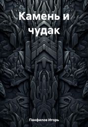 Камень и чудак