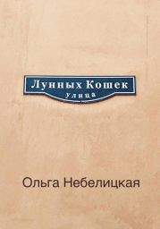 Улица лунных кошек