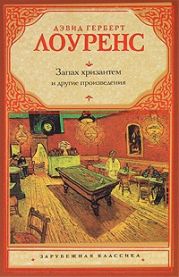 Макака в хаки