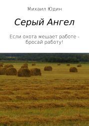 Серый Ангел