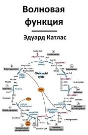 Волновая функция