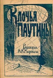 Клочья паутины