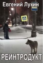 Реинтродукт