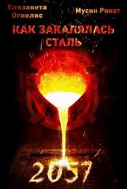 Как закалялась сталь - 2057. Том 4