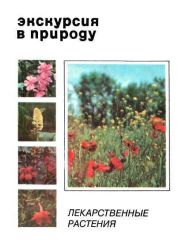 Прописи. Готовим руку к письму