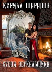 Будни зеркальщика