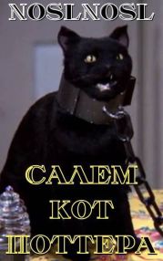 Салем кот Поттера