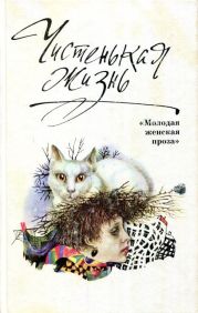 Чистенькая жизнь (сборник)