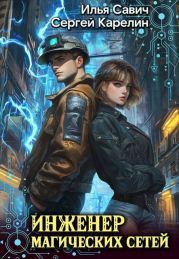 Инженер магических сетей