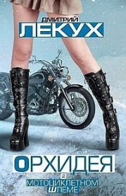 Орхидея в мотоциклетном шлеме (сборник)
