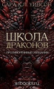 Противоречивые обещания