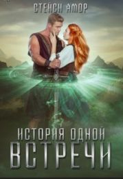 История одной встречи
