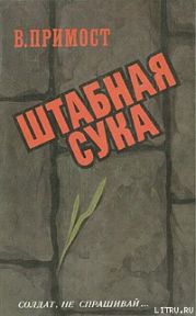 Штабная сука