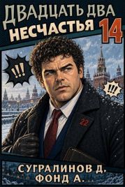 Двадцать два несчастья 14